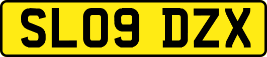SL09DZX