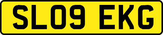SL09EKG