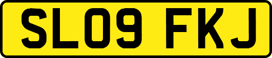 SL09FKJ