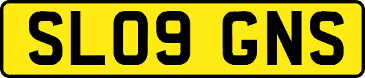SL09GNS