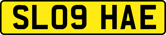 SL09HAE
