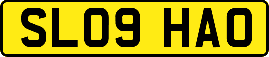 SL09HAO
