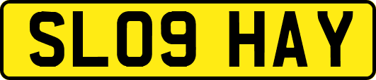 SL09HAY