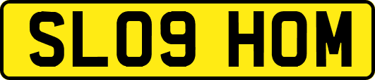 SL09HOM