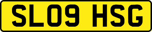 SL09HSG