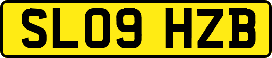 SL09HZB