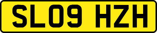 SL09HZH