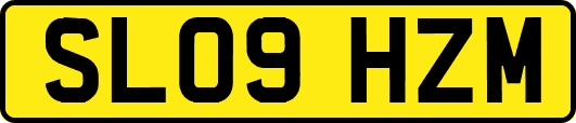 SL09HZM