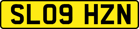 SL09HZN