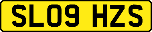 SL09HZS