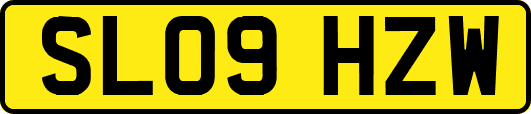 SL09HZW