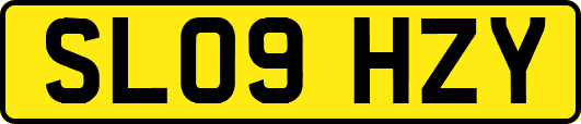 SL09HZY