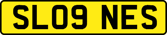 SL09NES