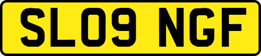 SL09NGF