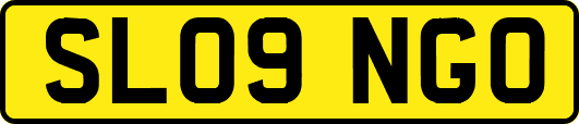 SL09NGO