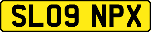SL09NPX