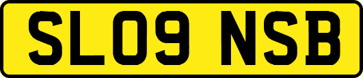 SL09NSB