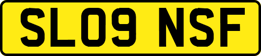 SL09NSF