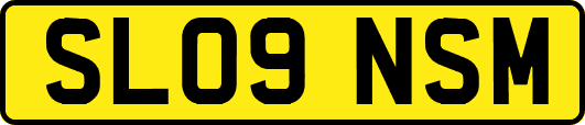 SL09NSM