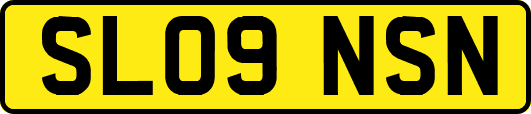 SL09NSN