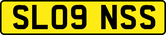 SL09NSS