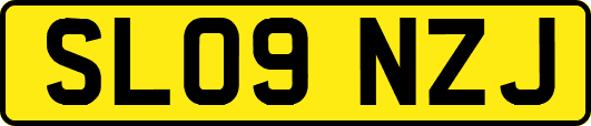 SL09NZJ