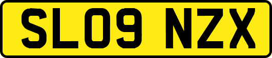 SL09NZX