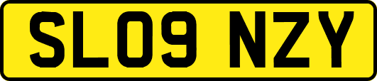 SL09NZY
