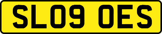 SL09OES