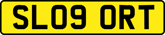 SL09ORT
