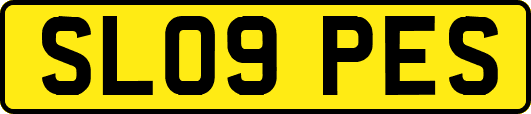 SL09PES