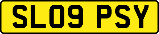 SL09PSY