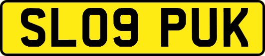 SL09PUK