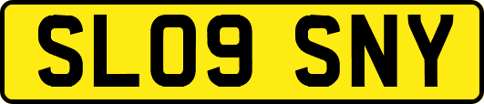 SL09SNY