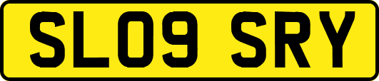 SL09SRY