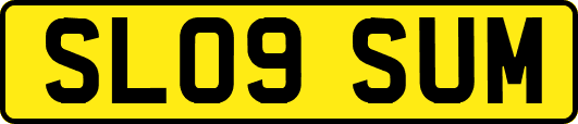 SL09SUM