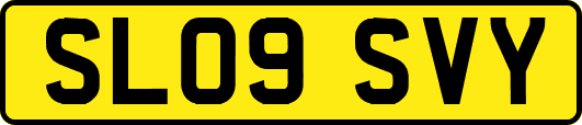 SL09SVY