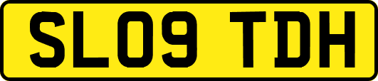 SL09TDH