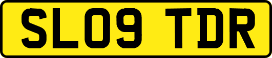 SL09TDR