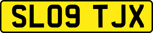SL09TJX
