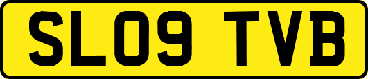 SL09TVB