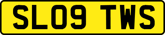 SL09TWS