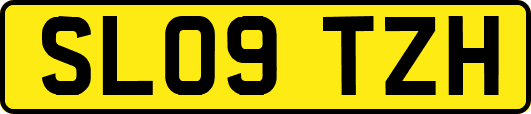 SL09TZH