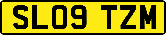 SL09TZM