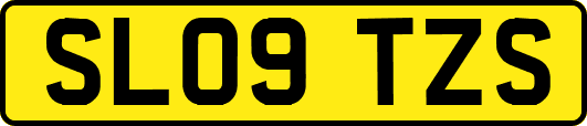 SL09TZS