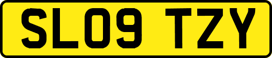 SL09TZY