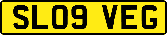 SL09VEG