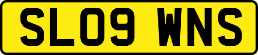 SL09WNS