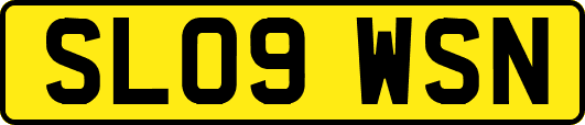 SL09WSN