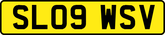 SL09WSV